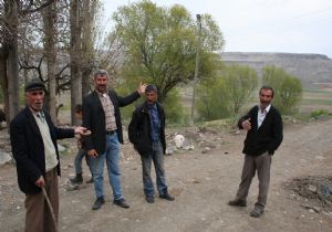 Ermenistan'dan gelen domuzlarla başları dertte